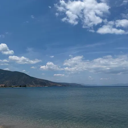 Oasis